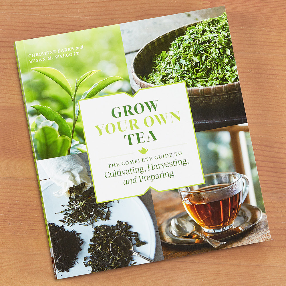 "Grow Your Own Tea" by Christine Parks and Susan M. Walcott