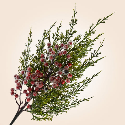 Faux Cypress Pine Stem with Iced Berries, 24"