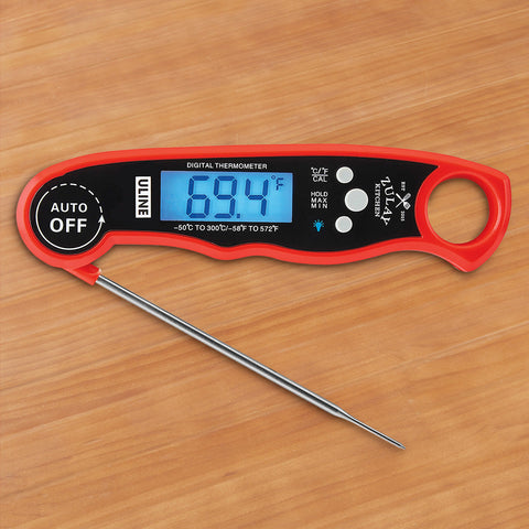 Digital Thermometer