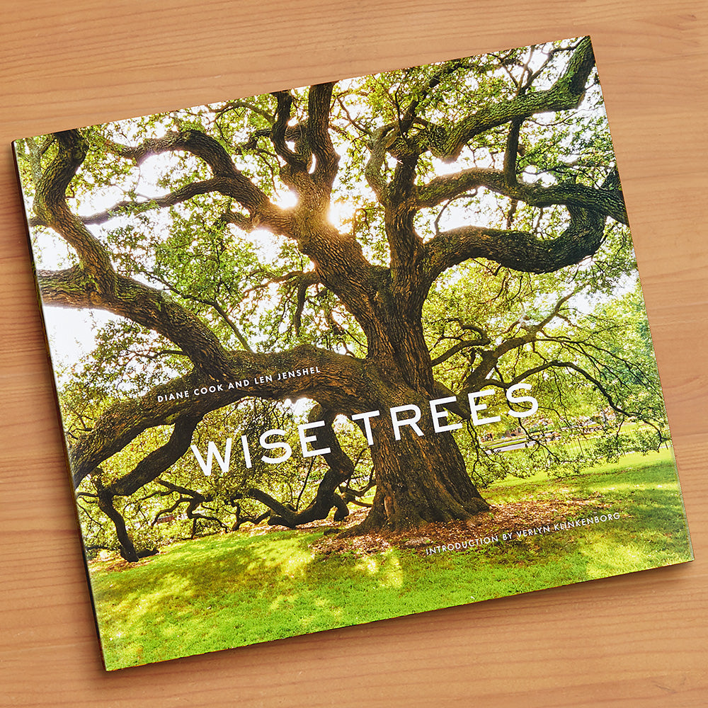 "Wise Trees" by Diane Cook and Len Jenshel