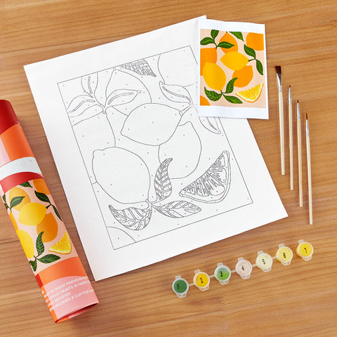 Pink Picasso Paint-by-Numbers Kit, Mid-Century Modern
