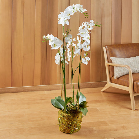 White Phalaenopsis Orchid Drop-In, 52"