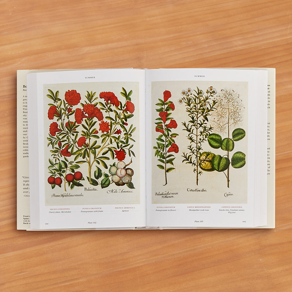 "Basilius Besler: Florilegium. The Book of Plants" by Klaus Walter Littger and Werner Dressendörfer