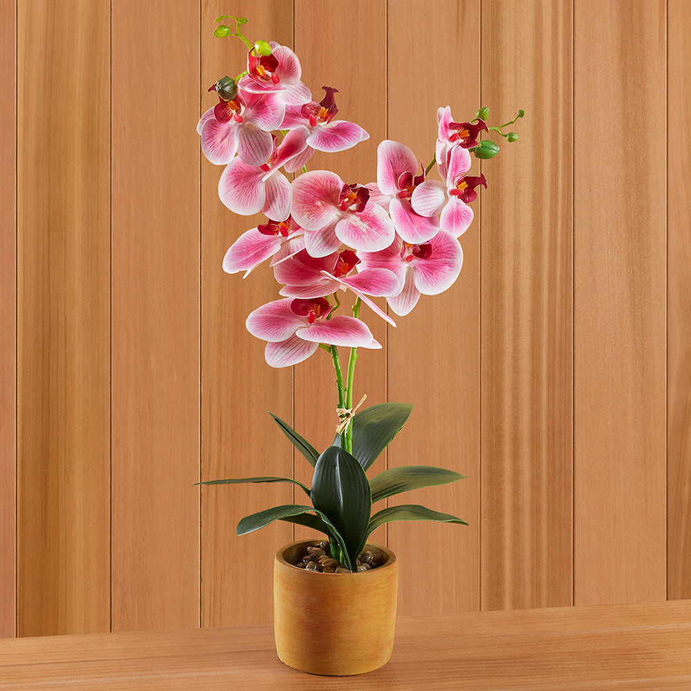 Real Touch Pink Phalaenopsis Potted Orchid, 24"