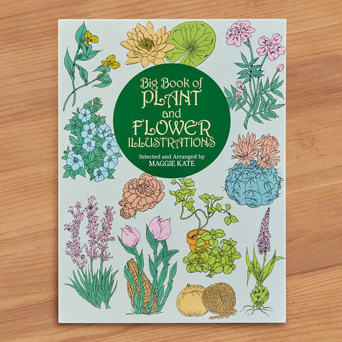 "Big Book of Plant and Flower Illustrations" by Maggie Kate