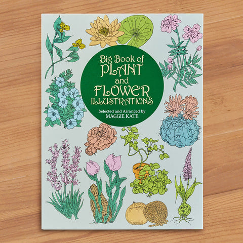the big book of house plants Big Book of Plant and Flower Illustrations" by Maggie Kate – To The Nines Manitowish Waters