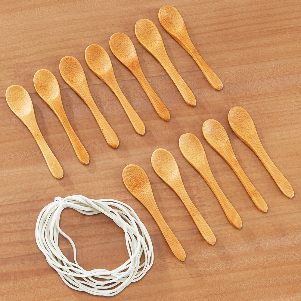 Nicolas Vahé Bamboo Tasting Spoons, Pack of 12