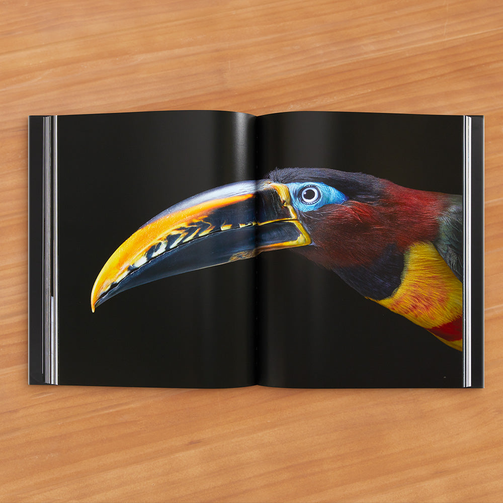 "Birds" Photography Book by Tim Flach and Richard O. Prum
