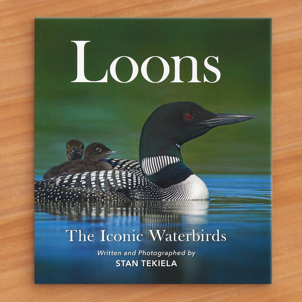 "Loons: Symbols of the North Woods" by Stan Tekiela