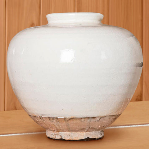 Blanc de Chon Egg Vase - Wide