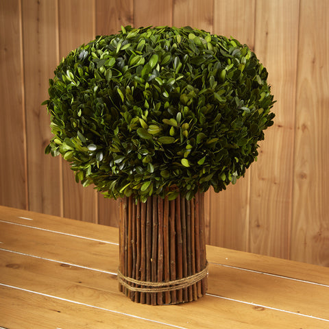 Boxwood Willow Topiary Stand