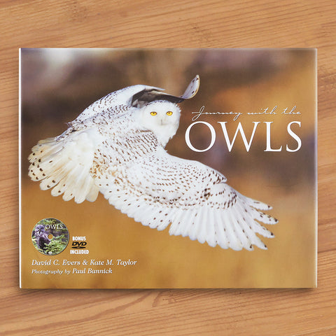 "Journey With the Owls" by David Evers and Kate Taylor