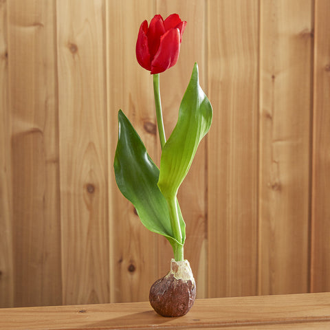 Tulip Bulb Drop-In, Red