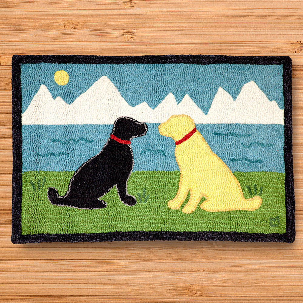 Chandler 4 Corners 2' x 3' Hooked Rug, Lake Side Labs – To The Nines ...