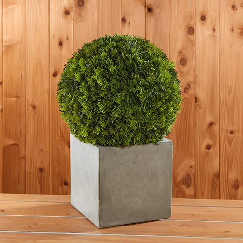 Cedar Ball in Concrete Cube Pot
