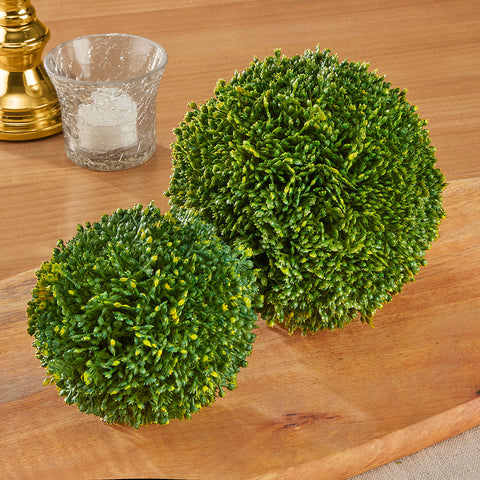 Sedum Orbs